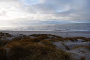 Read more about the article Morsowanie a ADHD – dlaczego zimne kąpiele nie są dla każdego?