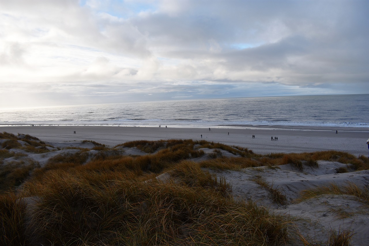 You are currently viewing Morsowanie a ADHD – dlaczego zimne kąpiele nie są dla każdego?